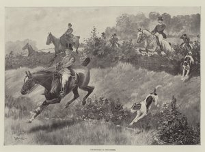 Chasse aux renards dans les Shires